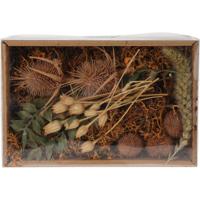 Droogbloemen mix in doosje Nature - thumbnail