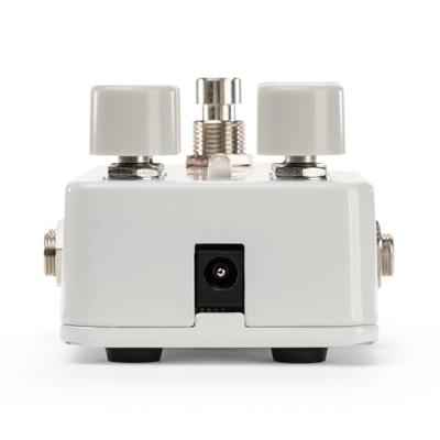 Electro Harmonix Canyon Delay & Looper pedaal Electro Harmonix Canyon Delay & Looper pedaal