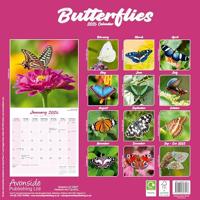 Vlinder Kalender 2026 - thumbnail
