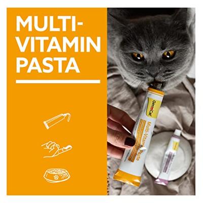 GIMCAT MULTIVITAMINEPASTA + 12 VITAMINEN