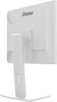 iiyama Desktop Monitor, B1980S-W1-19, TN, 1280x1024/75Hz, 1H1DP, HEEFT - thumbnail