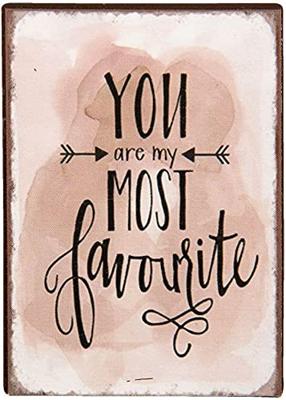 Clayre & Eef Decoratieve Magneet 5x1x7 cm Roze Ijzer Rechthoek Most