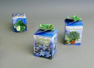 Greengift Vergeet me niet in showdoos