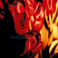 A Strangely Isolated Place - CD (5051083142779) - thumbnail