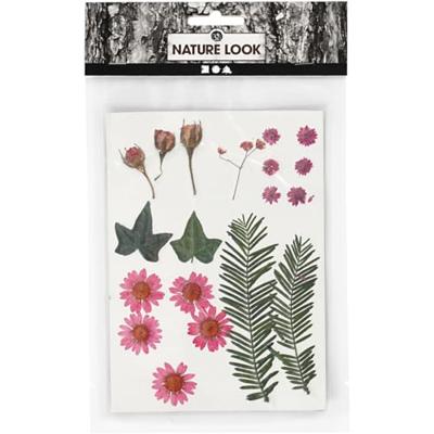 Creativ Company Gedroogde bloemen en bladeren lichtrood, 19dlg.