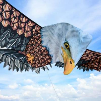 3D adelaar vlieger 186 cm | 3D Eagel Kite - thumbnail