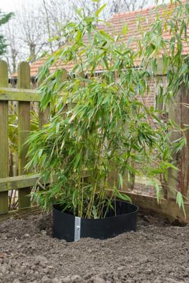 Nature Anti-root wortelbescherming 5 meter