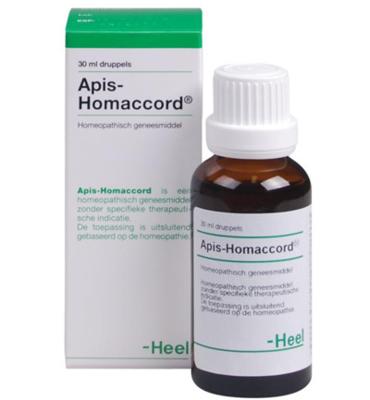Heel Apis Homaccord 30ml