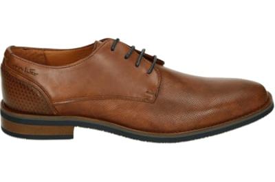 Van Lier 2518660 - alle