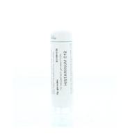 Histaminum muriaticum D12 - thumbnail