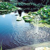 Biopressure drukfilter 18000 uvc18w Nature - Nature - thumbnail