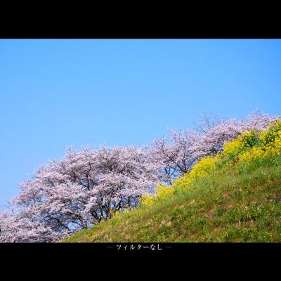 Marumi circ. pola filter super dhg 82 mm