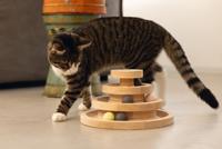 Designed By Lotte speeltoren Mia - thumbnail