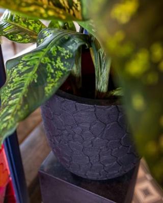 Capi bloempot clay bolvormig 43x41 cm antracietkleurig