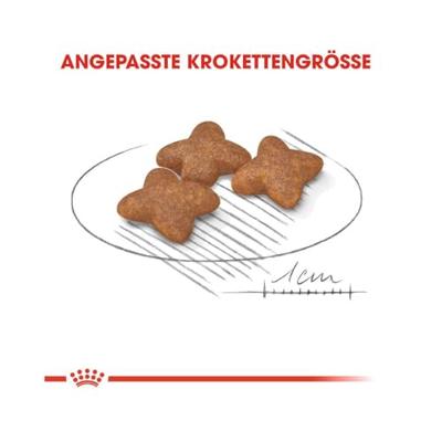 ROYAL CANIN Adult Mini S - droog hondenvoer - 2kg