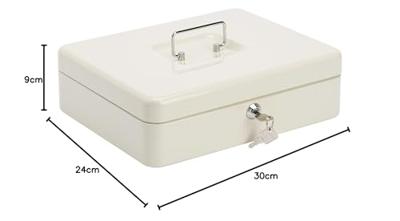 Burg Wächter 10710 Geldcassette (b x h x d) 300 x 90 x 240 mm Lichtgrijs