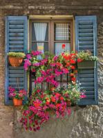 Blue Shutters 50x70cm Tuinschilderij Customize-it - Customize it - thumbnail