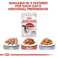Royal Canin voor kittens natvoer in plakjes 85g - thumbnail