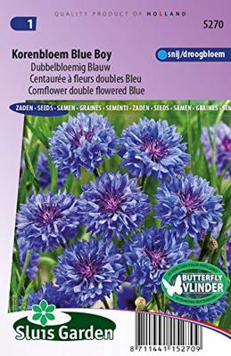 Dubbelbloemig blauw bloemzaden - Korenbloem Blue Boy