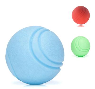 Nobleza Puppy speelballetje - Massief rubber - 5 cm