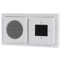 Busch-Jaeger 2CKA008200A0233 Radio Meerdere kleuren 1 stuk(s)