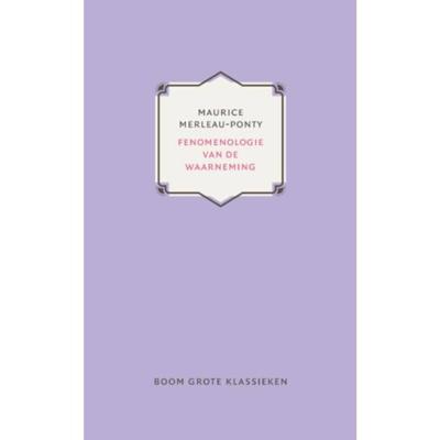 Fenomenologie van de waarneming (Hardback)