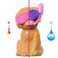 Barbie Family Puppy Pool Party - thumbnail
