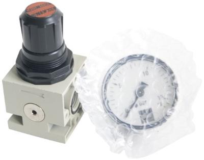 Schneider Airsystems Schneider drukregelaar "dm pressure reducer 0.5-10/1 r 1/4 reversible