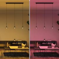 Philips Hue LED-lamp 8719514491281 Energielabel: F (A - G) Hue White & Color Ambiance Luster E14 5.1 W Energielabel: F (A - G) - thumbnail