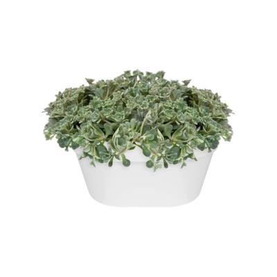 Elho wandbak loft urban 40cm wit - thumbnail