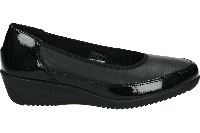 Ara 1240617 - alle - thumbnail