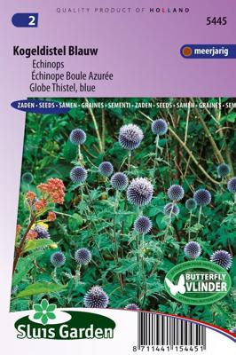Echinops bloemzaden - Kogeldistel blauw Echinops bloemzaden - Kogeldistel blauw