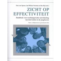 Zicht op effectiviteit (Paperback) - thumbnail