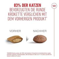 Royal Canin FHN Ageing 15+ kattenvoer 400 gram - thumbnail