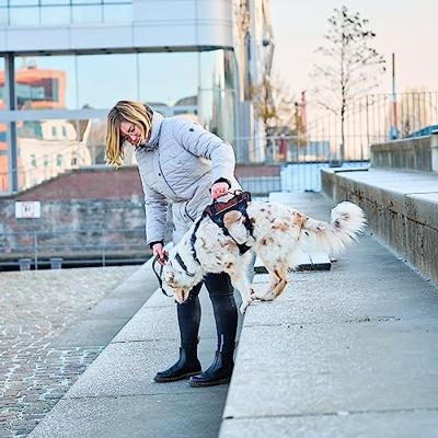 Non-stop dogwear® Hondentuig Rock Harness Long, zwart/oranje, Maat: XL