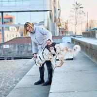 Non-stop dogwear® Hondentuig Rock Harness Long, black/orange, Maat: L - thumbnail