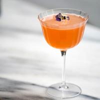 Luigi Bormioli Cocktailglazen - Bach - 260 ml - 4 stuks - thumbnail
