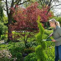 PrecisionCut buxusschaar Gardena - Gardena - thumbnail