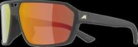 Alpina Swift - Sports Glasses - thumbnail