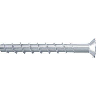 Fischer 558231 FBS II 8x120 70/55 SK Betonschroef 8 mm 120 mm TX 50 stuk(s) Fischer 558231 FBS II 8x120 70/55 SK Betonschroef 8 mm 120 mm TX 50 stuk(s)