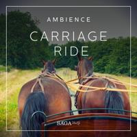 Ambience - Carriage ride - thumbnail