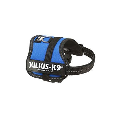 Hondentuigje Julius K9 Power Blauw 2 Baby 2 (XS/S)
