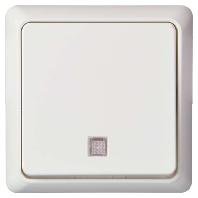 ELSO UP-toets 242134 verlicht 10A RENOVATIE rw 1 stuk(s)