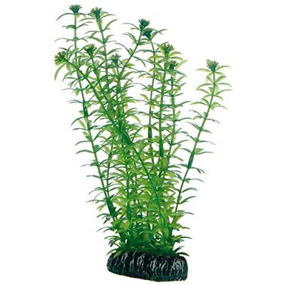 Plantasy set 4 decoratie planten Hobby Smulders - Smulders Plantasy set 4 decoratie planten Hobby Smulders - Smulders
