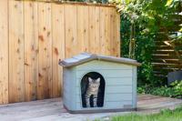 Hut Kerbl Grijs 100 % Gerecycled - thumbnail