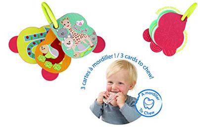 Gieter - NATUUR - 5 L - Water geven aan rozen - Groen