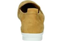 Arche NASANA - alle - thumbnail