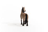 Schleich horse club - criollo definitivo merrie - speelfiguur - kinderspeelgoed voor jongens en meisjes - 5 tot 12 jaar - 13948 - thumbnail