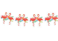 Slinger Papegaai Hawaii (3m) - thumbnail