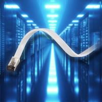 Maxtrack TI56-10L RJ45 Netwerkkabel, patchkabel CAT 8.1 U/FTP 10 m Wit Plat 1 stuk(s) - thumbnail